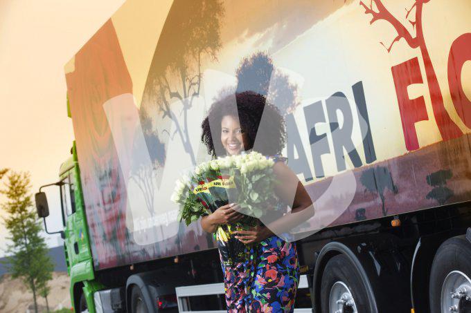 bloemen en planten vvbvanbree     1059